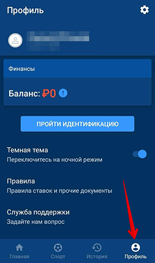 Интерфейс приложения
